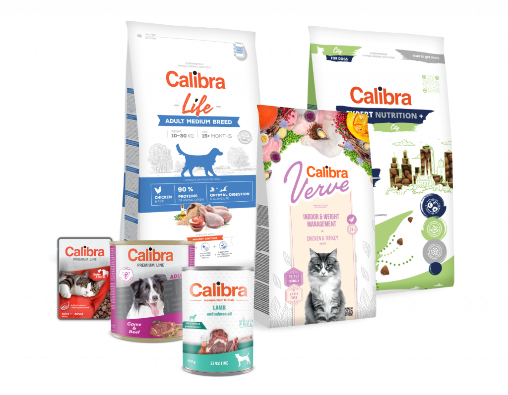 food-dogs-cats